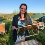Bien Royal - Imkerei Laube in Langenfeld Eine Person hält ein Bienenwaben-Rahmen in der Nähe von grünen Kuppeln und einer Wiese.