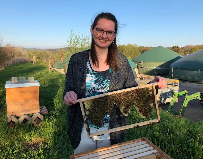 Bien Royal - Imkerei Laube in Langenfeld Eine Person hält ein Bienenwaben-Rahmen in der Nähe von grünen Kuppeln und einer Wiese.