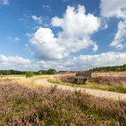 Heideschleife Haverbeeke Rundwanderweg Wanderweg Haverbeeke Heideschleife Barrierefrei