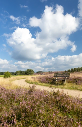 Heideschleife Haverbeeke Rundwanderweg Wanderweg Haverbeeke Heideschleife Barrierefrei