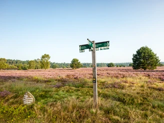 Tal der Haverbeeke_2© Lüneburger Heide GmbH.jpg Heideschleife Wanderweg Haverbeeke