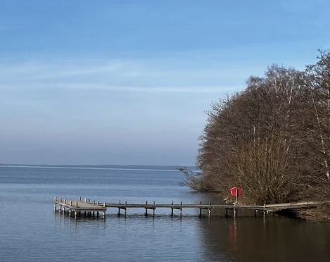 Ein hölzerner Steg mit Rettungsring erstreckt sich in einen ruhigen See, umgeben von kahlen Bäumen.