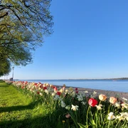 Sundpromenade im Frühling