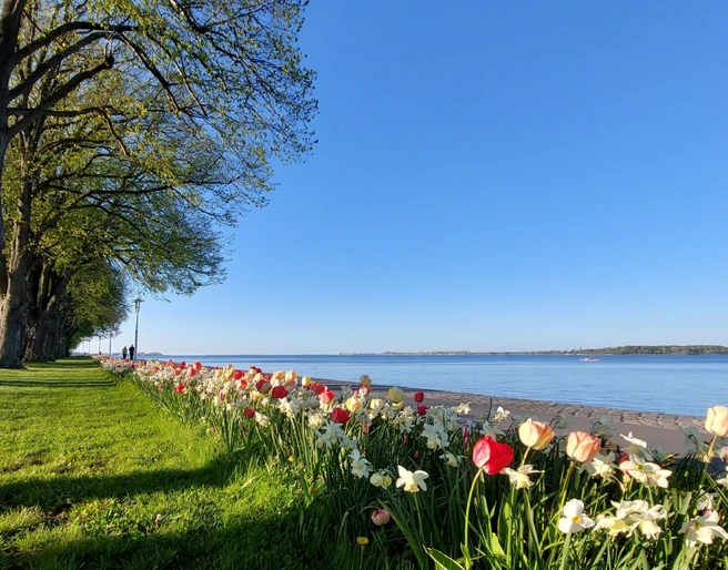 Sundpromenade im Frühling
