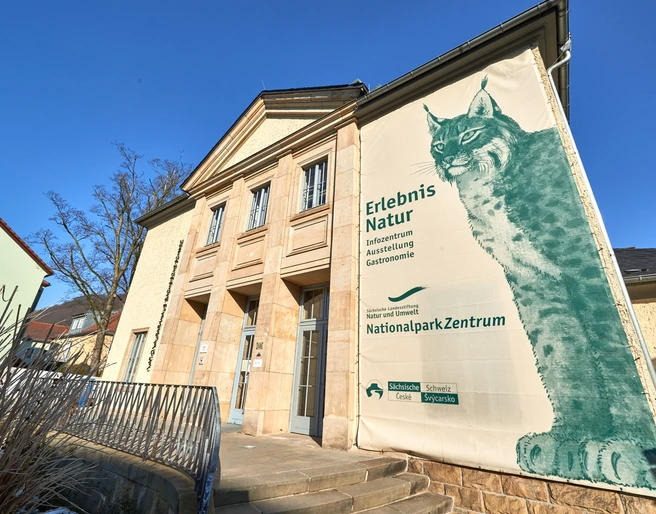 Nationalparkzentrum in Bad Schandau  Eingangsbereich eines Gebäudes mit großem Plakat eines Luchses, das für das Nationalparkzentrum wirbt; blauer Himmel im Hintergrund.