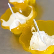 BAIE_Waldhonigeis (8)_klein