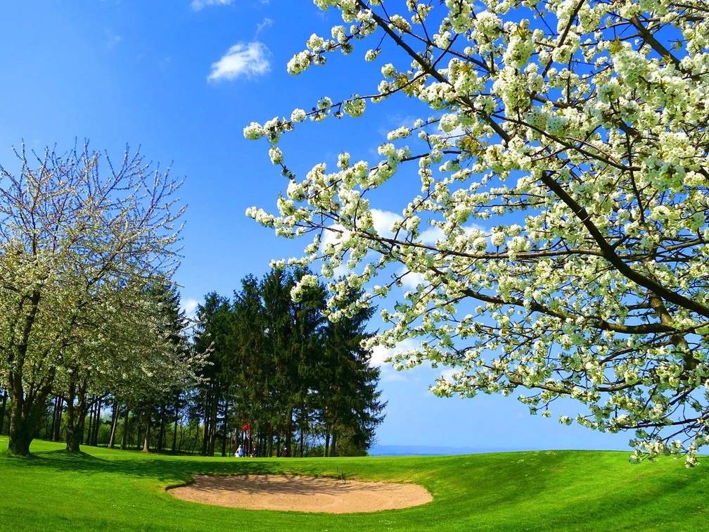 Golfclub Schaumburg_Schaumburg erleben