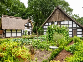 Rahden-Museumshof-Teutoburger-Wald-Tourismus-D-Ketz-019-CC-BY-SA.jpg Fachwerkhäuser mit Strohdächern und ein gepflegter Garten mit Gemüse und Beerensträuchern.