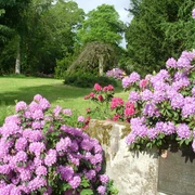 Park Courbevoie (33)