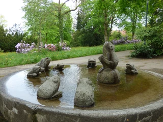 Froschbrunnen