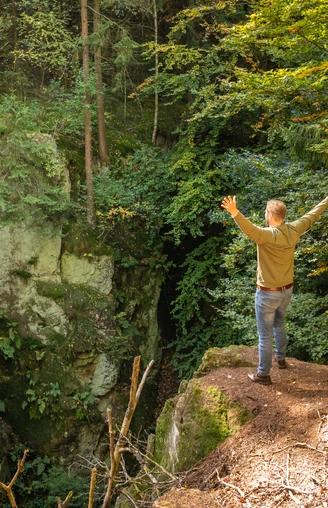 Lichtenau-Alte Eisenbahn-Teutoburger-Wald-Tourismus-D-Ketz-062-CC-BY-SA.jpg Eine Person steht mit ausgebreiteten Armen auf einem bewaldeten Felsvorsprung und genießt den Ausblick.