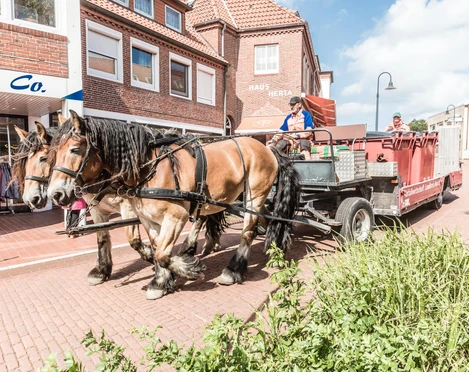 Muellabfuhr-Pferdekutsche-Juist