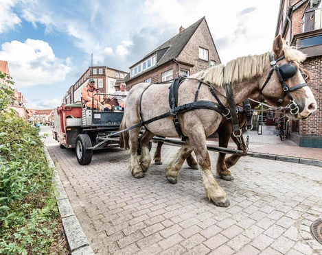 Muellabfuhr-Pferdekutsche-Juist
