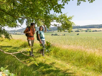 Marienmünster-Kollerbeck-Wanderweg-Teutoburger-Wald-Tourismus-A-Röser-111.jpg Zwei Wanderer genießen einen sonnigen Tag auf einem grasbewachsenen Pfad mit weitem Blick auf Felder.