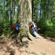 P1020277 Großvatertanne OA