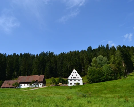 Bärenschlössle © FT