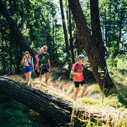 Wandern in der Luchsenburg