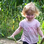 Maisterlabyrinth Benndorf © Landwirtschaftsbetrieb Tobias Karte.jpg