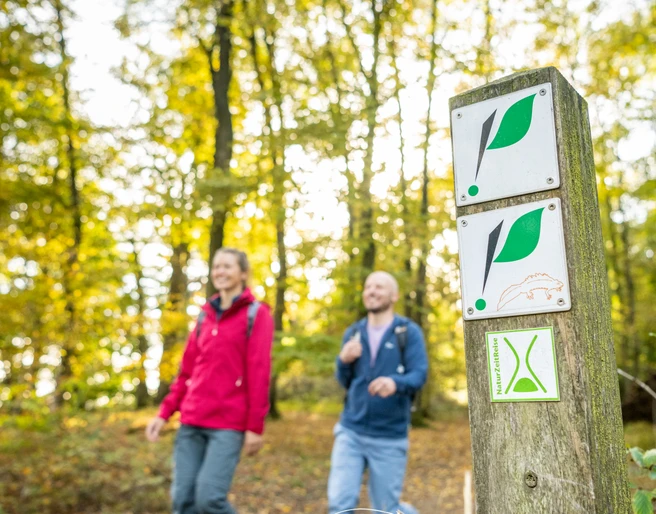 Hoexter-Rabenklippen-Teutoburger-Wald-Tourismus-D-Ketz-113.jpg Zwei Wanderer im roten und blauen Outfit spazieren durch einen herbstlichen Wald mit Wegweisern.