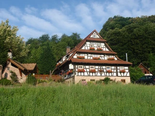 Hausansicht Holzwurm