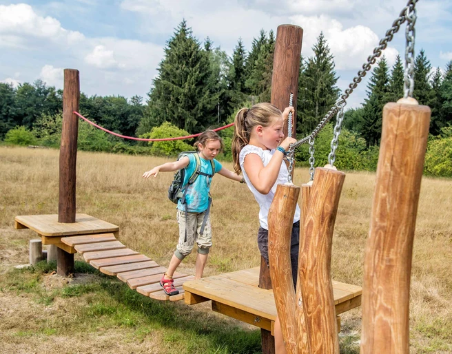 Bildungsstätte Sellnitz Zwei Kinder balancieren auf einem hölzernen Kletterparcours im Freien, umgeben von Bäumen und einer Wiese unter blauem Himmel.