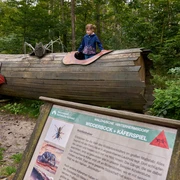 Waldhusche Hinterhermsdorf Zwei Kinder spielen auf einem großen, hölzernen Käfermodell im Wald; ein Mädchen schaut aus einer Öffnung, während ein anderes hineinklettert.