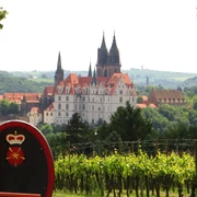 Meißen Burgberg vom Proschwitzer Weinberg (1).jpg Burgberg Meißen vom Proschwitzer Weinberg aus