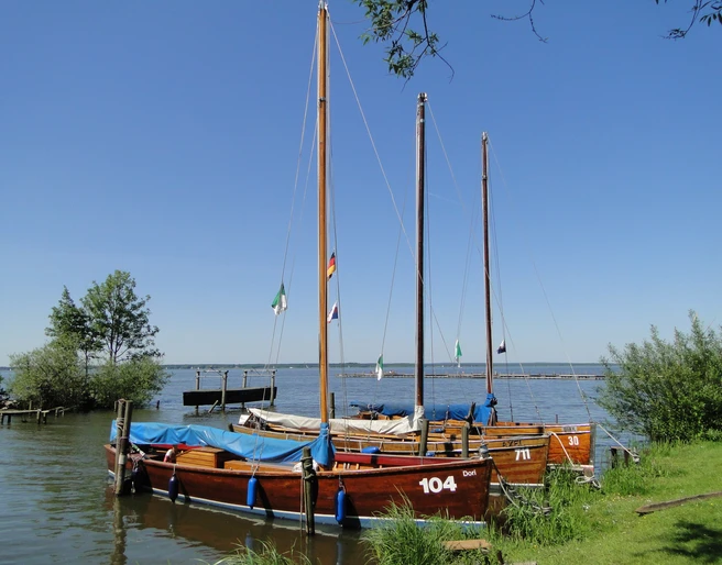 Auswanderer am Ufer Drei traditionelle hölzerne Segelboote liegen vertäut an einem ruhigen Seeufer, umgeben von grünem Schilf.