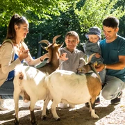 Bielefeld-Tierpark Olderdissen-Teutoburger-Wald-Tourismus-D-Ketz-006.jpg Familie füttert Ziegen im sonnigen Park, alle lächeln, umgeben von Bäumen und hellem Tageslicht.
