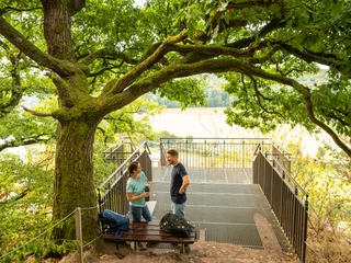 Beverungen-Weser Skywalk-Teutoburger-Wald-Tourismus-D-Ketz-025.jpg