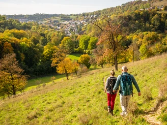 Beverungen-Dalhausen-Jakobsberg-Teutoburger-Wald-Tourismus-D-Ketz-082.jpg