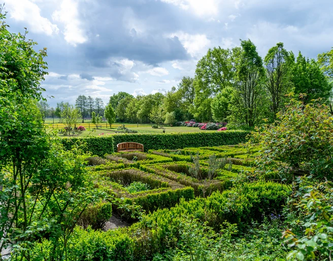 Garten_Privatgarten_Kneipp_Gertje-17.jpg Ein wunderschöner Garten mit grünen Hecken, einer Bank und blühenden Sträuchern.