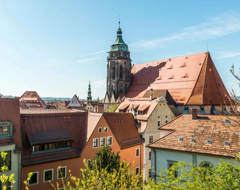 Blick zur Marienkirche Blick auf eine historische Stadt mit roten Ziegeldächern und einem großen Kirchturm unter klarem, blauem Himmel.