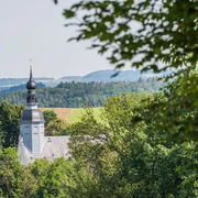 Kirche Reinhardtsdorf Eine Kirche mit einem schwarzen Zwiebelturm ragt aus dichtem Grün hervor, im Hintergrund sanfte Hügel unter klarem Himmel.