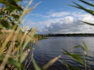 Hohes Elbufer_Ausblick Elbe.jpg
