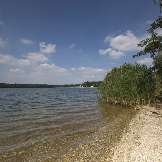 Albrechtshainer-See-Leipzig-Region-Auszeit-Ufer-Natur-Thomas-Bichler-Leipzig-Travel.jpg