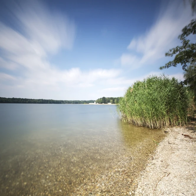 Ufer des Albrechtshainer Sees - Auszeit in der Region Leipzig