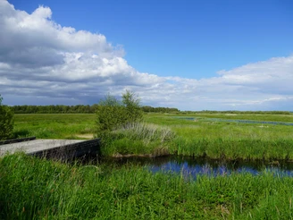 Weite der Hammeniederung  Blick in die Hammeniederung mit Wiesen und auf der rechten seite strahlend bleuen Himmel, von der linken Bildseite kommen jedoch dunkle Wolken.