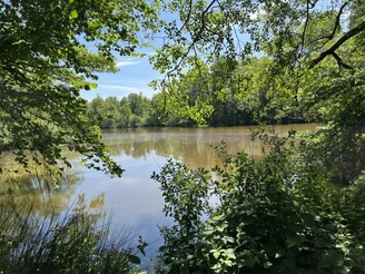 Mühlenteich in Meyenburg