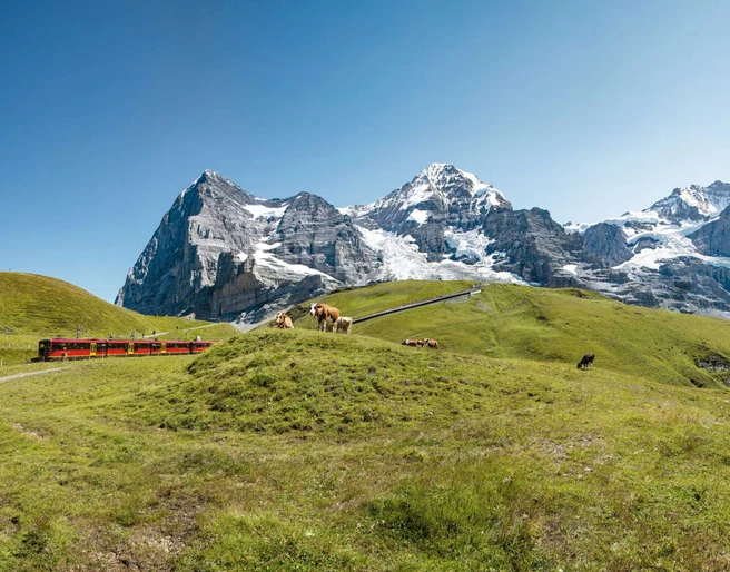 jungfraubahn-sommer-eiger-moench-jungfrau-kuehe.jpg