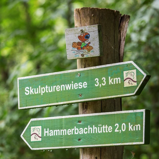 Heide Biber Tour in der Dübener Heide - Wanderwege in der Region Leipzig