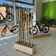 Moderne Fahrräder in einem lichtdurchfluteten Geschäft mit großen Schaufenstern und Holzakzenten.