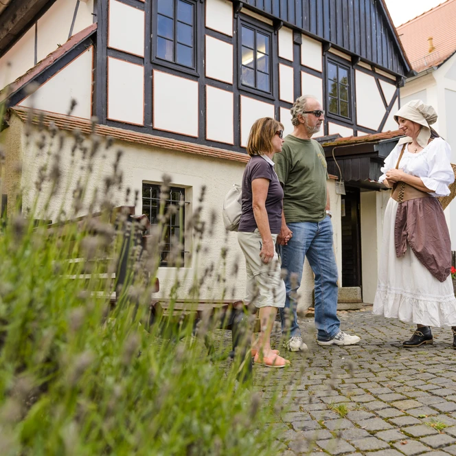Museum Wassermühle in Höfgen - Erlebnisse in der Region Leipzig