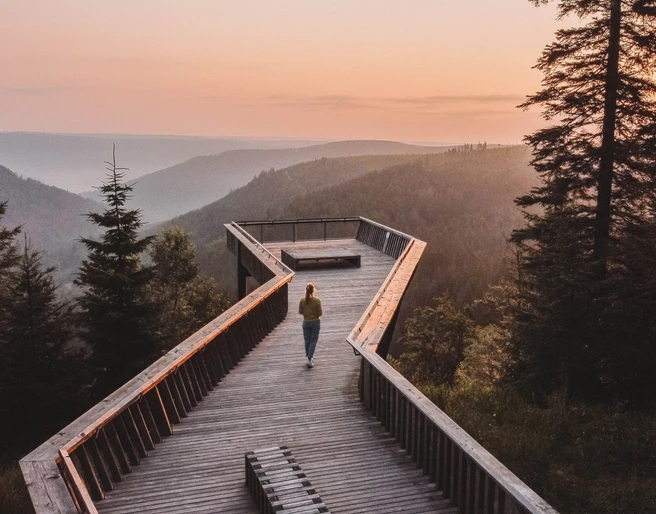 Themenfuehrungen Gefuehrte Wanderungen Freudenstadt Tourismus Ellbachseeblick Themenfuehrungen Gefuehrte Wanderungen Freudenstadt Tourismus Ellbachseeblick
