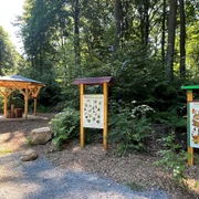 Walderlebnispfad Rehburg-Loccum Ein Waldweg führt zu Info-Tafeln und einer hölzernen Schutzhütte, umgeben von Bäumen und Sträuchern.