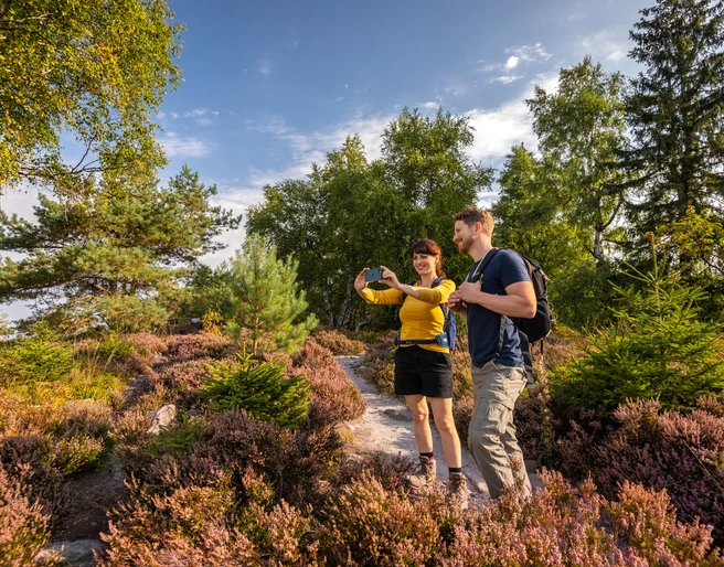 Lippischer Velmerstot-Kreis Lippe-Teutoburger-Wald-Tourismus-D-Ketz-013.jpg Ein Paar wandert auf einem Pfad durch eine Heide, umgeben von blühenden Sträuchern und Bäumen.