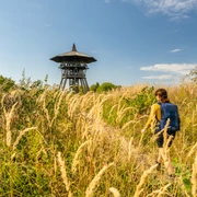 Preußischer Velmerstot-Kreis Lippe-Teutoburger-Wald-Tourismus-D-Ketz-043.jpg Eine Person wandert durch hohes Gras auf einen Holz-Aussichtsturm zu, umgeben von üppiger Natur.