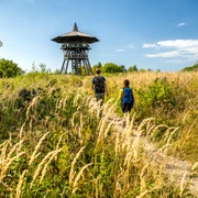 Preußischer Velmerstot-Kreis Lippe-Teutoburger-Wald-Tourismus-D-Ketz-044.jpg Zwei Wanderer gehen auf einem schmalen Weg durch hohes Gras, im Hintergrund ein hölzerner Aussichtsturm.