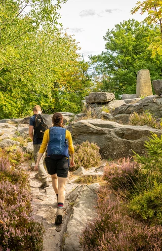 Lippischer Velmerstot-Kreis Lippe-Teutoburger-Wald-Tourismus-D-Ketz-034.jpg Zwei Wanderer erkunden einen steinigen Pfad im Wald, umgeben von Bäumen und buntem Heidekraut.