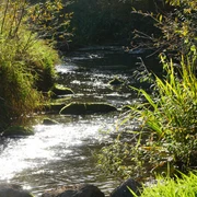 Schunteraue in Ochsendorf